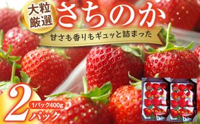 大粒厳選さちのか　希少いちご　神奈川県産　苺　２パック入り 142069_CP009