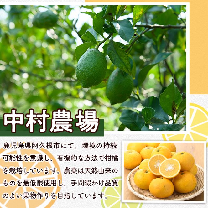 数量限定！有機JAS 訳ありオーガニックレモン(約5kg) 国産 訳あり レモン 檸檬 果実 果物 フルーツ 柑橘 デザート 期間限定 有機栽培 健康志向 【中村農場】akn084-02