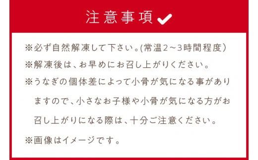 《14営業日以内に発送》オホーツクの綺麗な地下水で育った オホーツク うなぎ 2尾 ( 蒲焼 蒲焼き 丑の日 土用丑の日 )【160-0003】