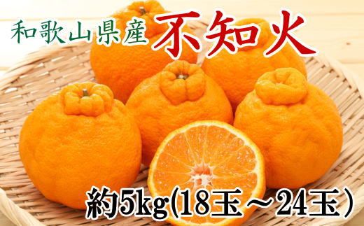 和歌山県産不知火約5kg（18玉～24玉おまかせ） ※2027年2月下旬～2027年3月下旬頃に順次発送予定（日付指定不可）【tec956】