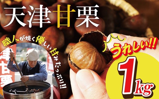 この道50年の職人が焼く､やさしい甘みたっっっぷり！｢天津甘栗｣ 1kg 焼きたて 栗 くり 栗爪 殻付き お菓子 おつまみ 人気 高リピート 小分け 栗ご飯 栗きんとん 甘露煮  碧南市 H045-106