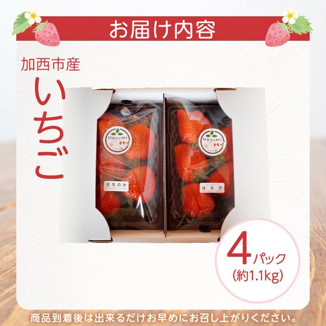 いちご　4パック 兵庫県 加西市 果物類 苺 イチゴ 果物詰合せ フルーツ