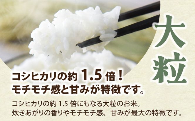 富山県滑川市産　弱アルカリ性米　「ピロール農法米　いのちの壱」精米5kg【2025年10月中旬より順次発送】 / 産地直送 袋 ブランド米 お米 米 ご飯 ごはん 富山 滑川市 アグリめぐみ 農家直送 おこめ