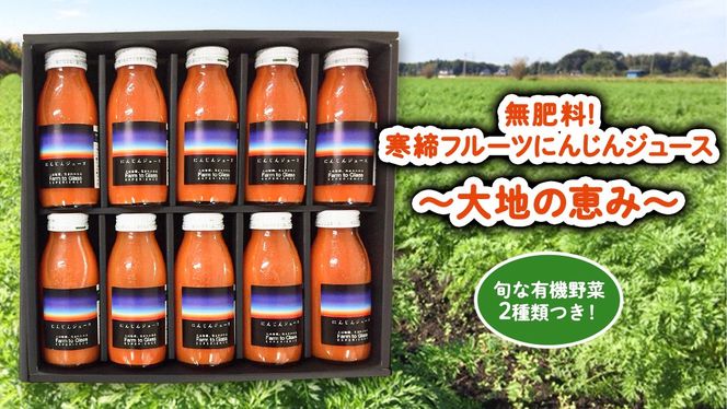 寒締 フルーツ にんじんジュース ～大地の恵み～旬な 有機野菜2種類つき！ ジュース 有機 無農薬 無化学肥料 JAS認定 おまかせ にんじん レインボーフューチャー [AL002ci]