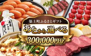 【あとから選べる】築上町ふるさとギフト 30万円分 ハンバーグ 餅 米 明太子 博多和牛[ABZY015]