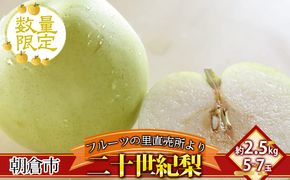 フルーツの里の直売所より 二十世紀梨 2.5kg ナシ 果物 先行予約 