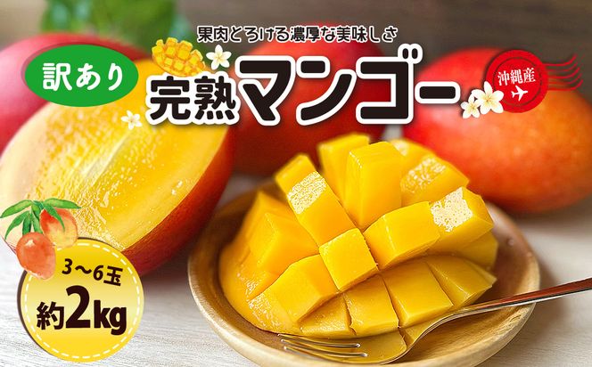 訳ありマンゴー２kg【熱帯資源植物研究所】