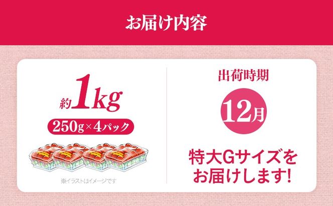 福岡県産 あまおう 1000g （250g×4パック） いちご 12月中発送 いちご 苺 フルーツ 果物 くだもの 大粒Gサイズ グランデ 農家直送 大粒 不揃い 福岡県 福岡 九州 グルメ お取り寄せ