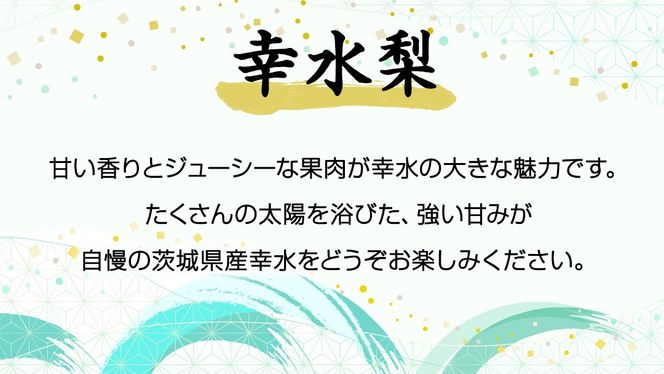 ≪先行予約≫ 茨城県産 梨 幸水 （約 5kg） 【 2026年 8月下旬頃より発送開始 】 梨 なし 果物 フルーツ 新鮮 旬 期間限定 甘い 国産 [CK001us]