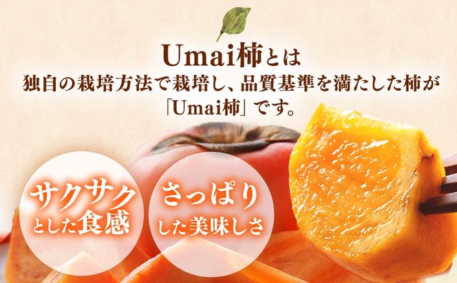 【先行予約】岐阜県瑞穂市産 訳あり富有柿 2.5kg ※2026年11月～発送