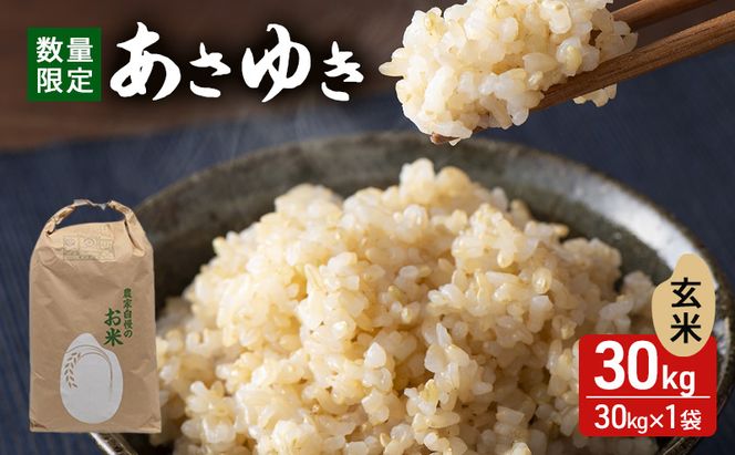 令和7年産 あさゆき 玄米 30kg [H.GREENWORK] 青森県 鯵ヶ沢産 / お米 希少米 もっちり 大容量 備蓄 健康 津軽