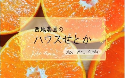 みかん せとか 【先行予約】L～Mサイズ 西地農園のハウスせとか 4.5kg【2026年2月中旬より順次発送】 / 手選別 せとか ハウスせとか L M みかん ミカン 蜜柑 柑橘 果物 くだもの フルーツ 産地直送【mnd004B】