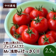 訳あり 北海道 十勝の太陽を浴びたプレミアムトマト 「Mr.浅野のけっさく2」2.5kg ［中村農場］【 訳あり トマト フルーツトマト 中玉トマト ミディトマト 高糖度 甘い 濃厚 寒暖差 野菜 こだわり 農家直送 北海道 十勝 幕別 】