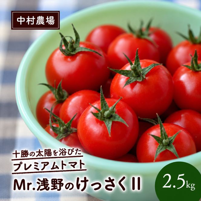 訳あり 北海道 十勝の太陽を浴びたプレミアムトマト 「Mr.浅野のけっさく2」2.5kg ［中村農場］【 訳あり トマト フルーツトマト 中玉トマト ミディトマト 高糖度 甘い 濃厚 寒暖差 野菜 こだわり 農家直送 北海道 十勝 幕別 】
