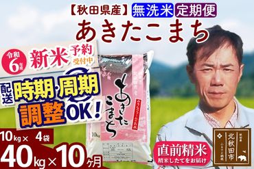 ※令和6年産 新米予約※《定期便10ヶ月》秋田県産 あきたこまち 40kg【無洗米】(10kg袋) 2024年産 お届け時期選べる お届け周期調整可能 隔月に調整OK お米 みそらファーム|msrf-31110