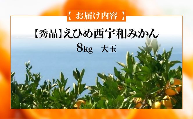 【先行予約】【秀品】えひめ西宇和みかん 8kg（大玉）※離島への配送不可（2026年11月上旬頃より順次発送予定） IKTAR002