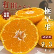 【ふるさと納税】有田みかん 極早生 9.3kg（箱込み10kg）家庭用 S～Lサイズ おまかせ【2026年11月発送】柑橘 フルーツ みかん 産地直送 お取り寄せ 送料無料  FA05