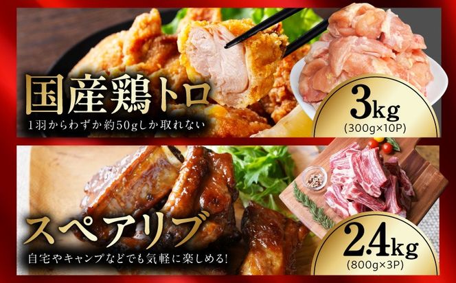 mrz0505 【氷温熟成×極味付け/特製ダレ】希少部位セット 合計9.1kg【小分け 希少部位 ヒレ 鶏肉 スペアリブ はらみ ハラミ 牛肉 焼肉 BBQ 簡単調理 味付き】