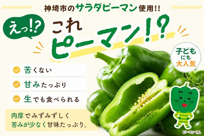 リピーター続出!! "ピーマン味噌 もりぴー"3個セット【万能調味料 発酵食品 健康志向 レシピ多数 ピーマン 米麹味噌 手作り バリエーション豊富 無添加】(H100104)