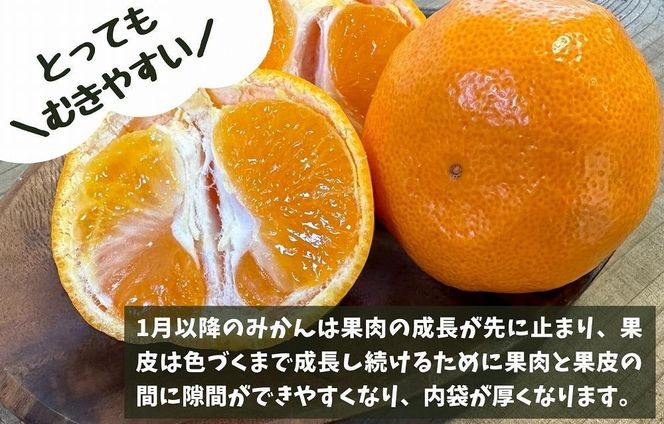 ［先行予約］訳あり それでも 熟成みかん 箱込7.5kg ( 内容量 6.8kg ) サイズミックス Ｂ品 有田みかん 和歌山県産 産地直送 家庭用 【みかんの会】 	AX344