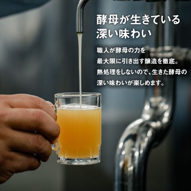 【定期便12ヶ月】あわぢびーる飲み比べ６本セット《淡路島のクラフトビール》