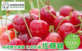 [先行受付] 北海道 仁木町産 さくらんぼ 「佐藤錦」 バラ詰め M-L混合 500g (250g×2パック)　国産 旬のフルーツ 旬の果物 デザートサクランボ チェリー フルーツ 果物 果物類 仁木 [フルーツショップ妹尾観光農園] 