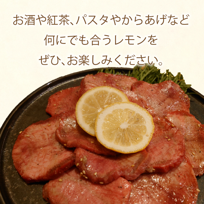 【先行予約】 レモン 約 3kg 24個 檸檬 フルーツ 果物 くだもの 柑橘 国産 新鮮 減農薬 ノンワックス 防腐剤 不使用 皮ごと 牡蠣 かき 魚 さかな 肉 にく スイーツ パスタ みかん 蜜柑  愛媛県 愛南町
