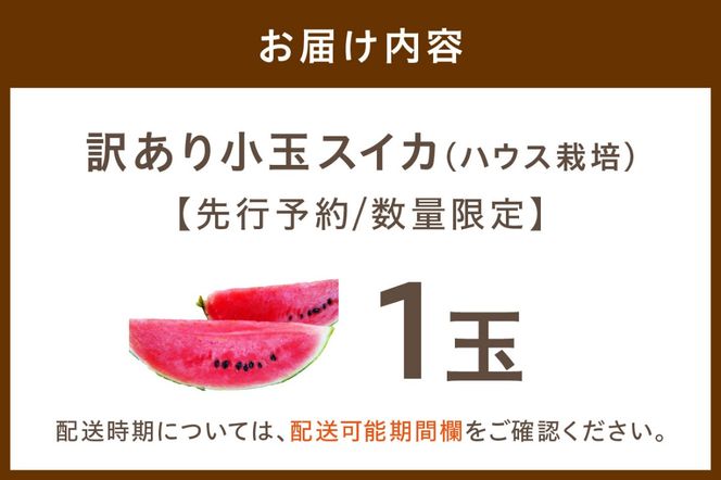 【先行予約／数量限定30】にしまるスイカ 訳あり 1玉入り（ハウス栽培）（2025年6月中旬から発送）　FR00010