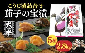 茄子 の 宝漬 （こうじ漬 詰合） / 漬物 なす こうじ きゅうり 大根 生姜 瓜 もろみ / 南島原市 / 大平食品[SAK003]