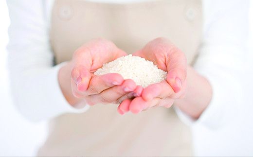 《令和7年産米》花巻ひとめぼれ14kg（2kg×7袋） 【1290】