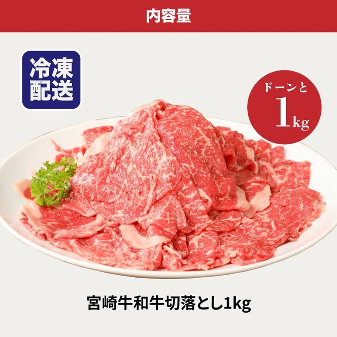 ＜宮崎牛　和牛　切り落とし1kg＞ K01_0011_1