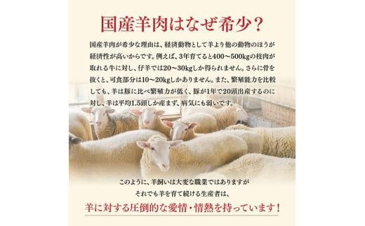 宮崎県産羊肉　寿ジンギスカン500g 【 肉 羊肉 国産 九州産 川南町産 ジンギスカン 羊 ひつじ 味付き 】[D11902]