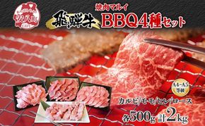 焼肉マルイ 串付き 飛騨牛BBQセット 約2kg 焼肉 串焼き BBQ セット カルビ ヒレ肉 モモ肉 ロース肉 お肉 肉 お家で簡単 本格 国産 国産牛 牛 牛肉 和牛 秘伝のたれ タレ付き 焼くだけ簡単 お取り寄せグルメ 送料無料 岐阜県 安八町