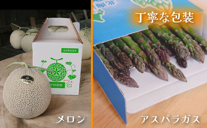 【定期便全2回 春夏リレー】[2026年4～8月発送] 北海道富良野産 アスパラガス 1kg×2箱 ＆ 特秀品メロン 2kg1玉×2箱 計4kg｜北海道 富良野市 アスパラ シャキシャキ食感 高糖度 メロン 野菜 果物 フルーツ 贈答用 ギフト