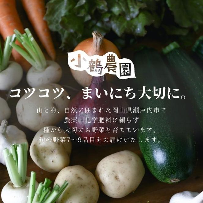 小鶴農園 季節のお野菜7～9品目セット（農薬・化学肥料不使用）【配達不可：北海道・沖縄・離島】 詰合せ 