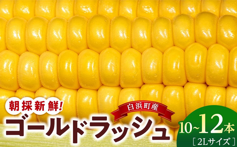 朝採 新鮮 白浜町産 ゴールドラッシュ とうもろこし 2Lサイズ 10〜12本 はたごや農園 304018_ET01