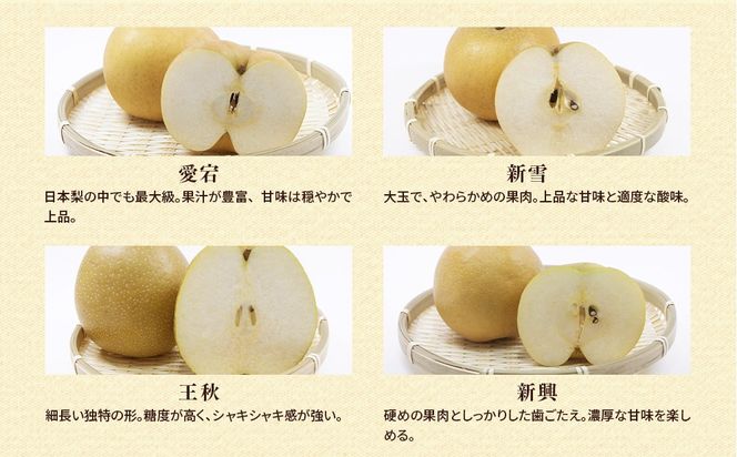 【先行予約】小林果樹園の梨 食べ比べ5～8玉  約3kg　※2026年9月～発送