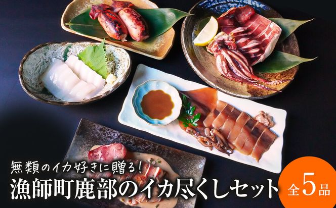 【2026年11月下旬発送】訳あり 漁師町鹿部のイカ尽くしセット 全5品 いか イカ 詰め合わせ セット
