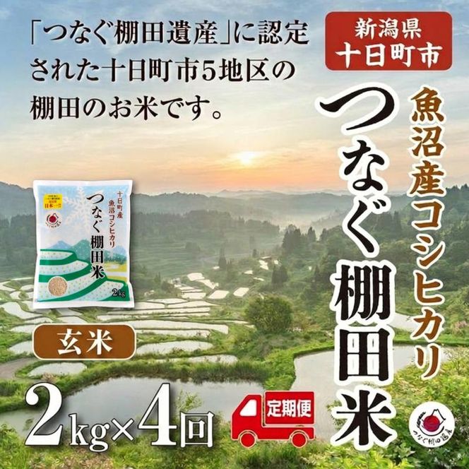 【定期便／全4回】玄米2kg  令和7年産新潟県十日町市魚沼産コシヒカリ「つなぐ棚田米」 米 こしひかり 玄米 十日町市