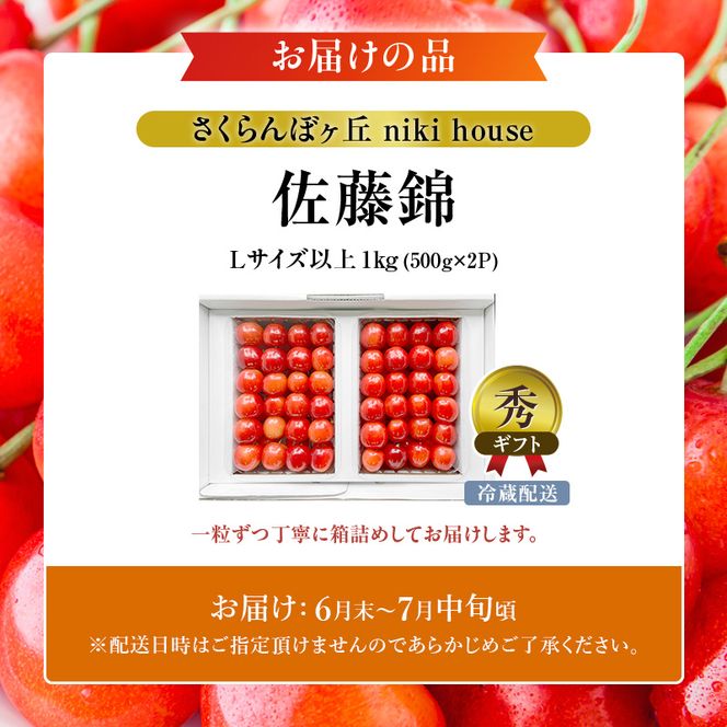 [先行受付] さくらんぼ  佐藤錦 Lサイズ以上 1kg（500g×2パック） 化粧箱入  サクランボ チェリー フルーツ 果物 果物類 ギフト 贈答品 北海道 仁木町 仁木  [小林信幸]