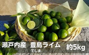 ライム 豊島ライム 約5kg 柑橘 国産 瀬戸内 瀬戸内産 豊島 栽培期間中農薬不使用 皮ごと 果汁 スライス サラダ カクテル ソフトドリンク 果物 くだもの 果物類 柑橘類 果実 フルーツ 生鮮 食品 香り 爽やか 香川 土庄 香川県 土庄町