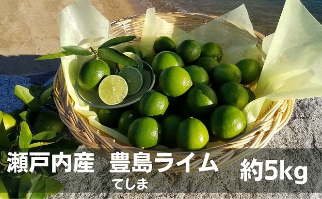 【 小豆島 】 瀬戸内産 豊島ライム 約5kg 柑橘 爽やか 豊島 瀬戸内 香川 香川県 土庄 土庄町