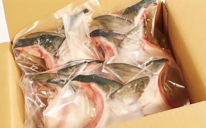 お試し用 ブリカマ 2切れ × 1パック 5000円 冷凍 サイズ 不揃い 試供品 お試し品 少量 ぶりかま ぶりカマ 鰤かま 少額 食べ物 旬 お手軽 魚海鮮 魚介 1万円 以下 父の日 小分け 真空 パック 新鮮 鮮魚 養殖 国産 鰤 ぶり ブリ お取り寄せ ギフト プレゼント おつまみ アテ おかず カマ 塩焼き 煮物 あらだき あら煮 肉 厚 規格外 人気 ハマスイ 愛南町 愛媛県