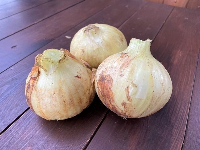 【4月～6月の定期便】トマト好き全員集合 トマト・トマト・トマト3か月お届けパック 野菜ソムリエサミット 金賞 受賞 長田農園 産地直送 トマト とまと 野菜 やさい フルーツ サラダ 濃厚 甘い ご褒美 プレゼント 美容 健康 リピート多数 人気 高評価 数量限定 碧南市　H004-173