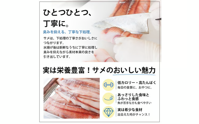 サメ の ムニエル (計750g・50g×15個) 鮫 惣菜 魚 簡単調理 冷凍 おかず おつまみ 冷凍食品 魚介 【RW-02】【令和のサメ】