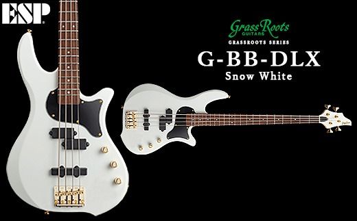 G-BB-DLX Snow White FAA-005