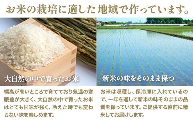 令和7年産 米 お米 こめ 荒木さんちのお米 くまさんの輝き 5kg 荒木農産 熊本県産 御船町《10月より順次出荷》 コメ おこめ 熊本 御船 御船 白米 ごはん---mifune_arn_1_5kg---