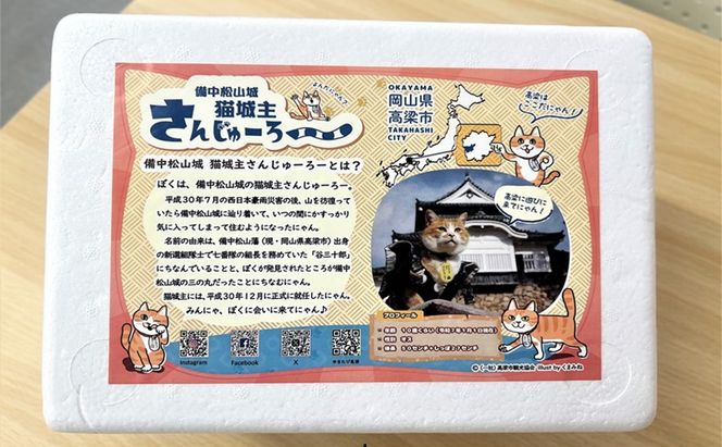 さんじゅーろー 最中アイス 詰め合わせ セット（6個入り） 