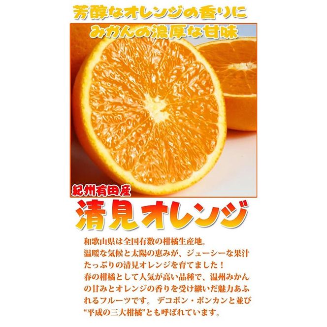 とにかくジューシー清見オレンジ　2.5kg