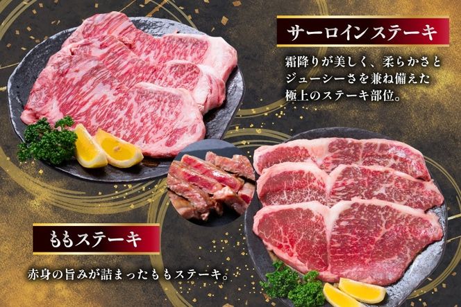 AJ671 【12回定期便】 長崎和牛 プレミアムコース [ 長崎和牛 定期便 和牛 お肉 肉 牛 牛肉 国産 ステーキ 焼肉 もも モモ バラ肉 スネ肉 ブロック ロース すき焼き しゃぶしゃぶ サーロイン カルビ ミンチ ひき肉 ヒレ トモサンカク シキンボ 水田精肉店 長崎県 島原市 ]